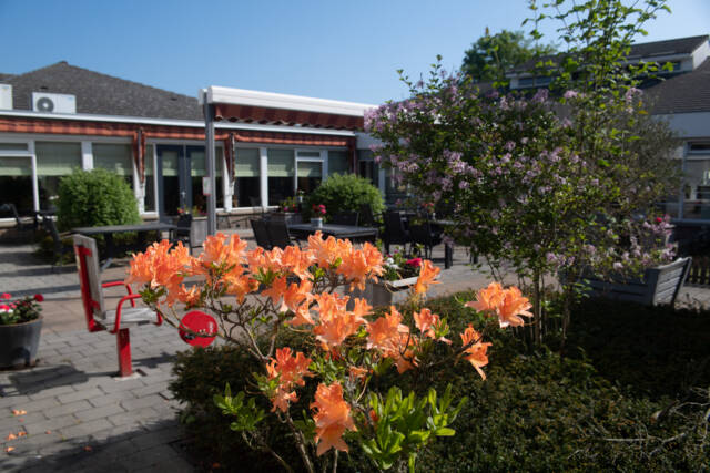 De binnentuin van Mariahove