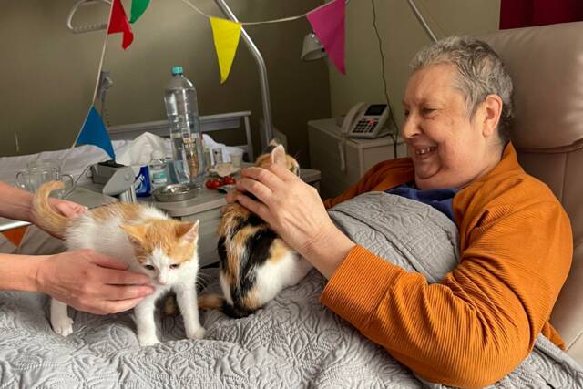 Een gast van het hospice aait twee katten die op bezoek zijn.