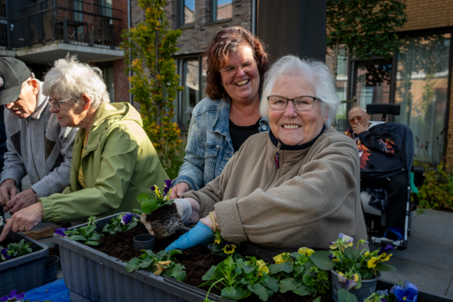 Bewoners van Hof van Nassau planten viooltjes