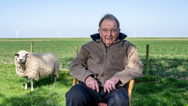 Jan Geluk in de wei bij de schapen