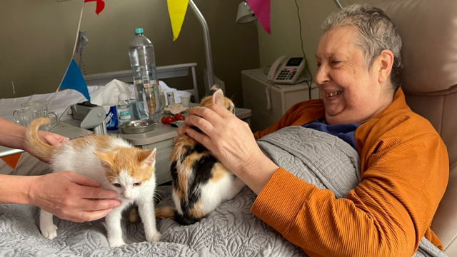 Een gast in het hospice met katten op bezoek