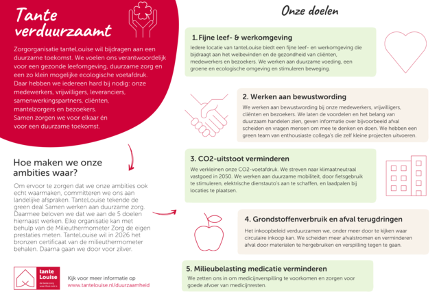Een infographic met de vijf doelen van tanteLouise beschreven